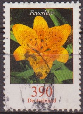 Alemania 2005 Scott 2323 Sello º Flora Flor Lirio Feuerlilie (tiger lily) 390  Michel 2547 Allemagne Duitsland Germania Germany Alemagne Deutschland